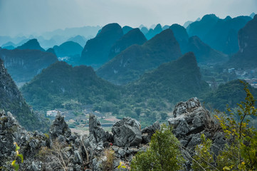 动物的有趣知识有哪些