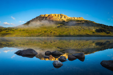 5种“大叶花”你知道吗