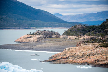 南极生活的动物有哪些