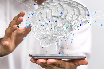 动物兄弟大猩猩超能力第几集