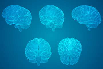 恐龙是怎样诞生的？