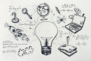 动物的有趣知识有哪些