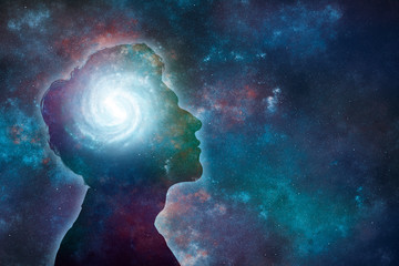 动物的有趣知识有哪些