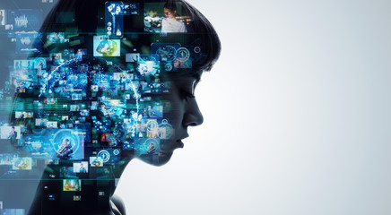 动物的有趣知识有哪些