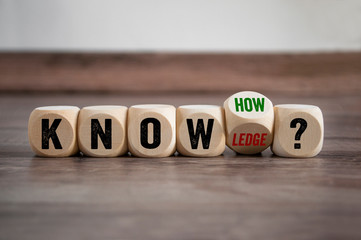 六年级英语复习单词