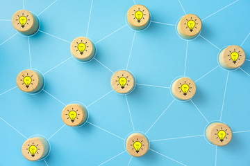 南极生活的动物有哪些