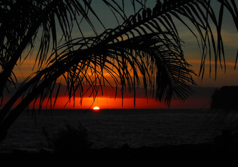 六年级英语复习单词