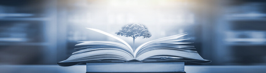 特别温柔的文案有哪些？