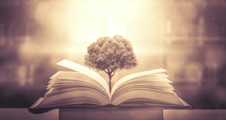 特别温柔的文案有哪些？