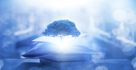 动物兄弟大猩猩超能力第几集