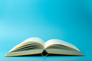 动物兄弟大猩猩超能力第几集