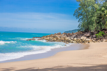 南极生活的动物有哪些