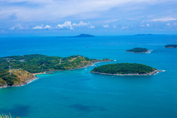 5种“大叶花”你知道吗