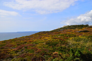 手工小闹钟怎么做