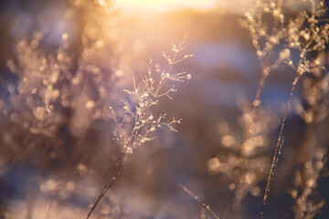 特别温柔的文案有哪些？