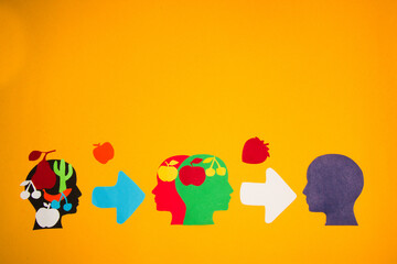 动物兄弟大猩猩超能力第几集