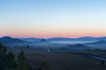 动物的有趣知识有哪些