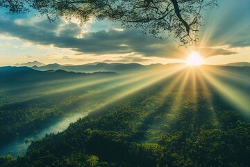 南极生活的动物有哪些