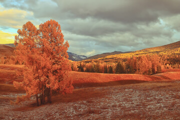 国家三农政策养殖怎么补贴