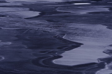 动物的有趣知识有哪些