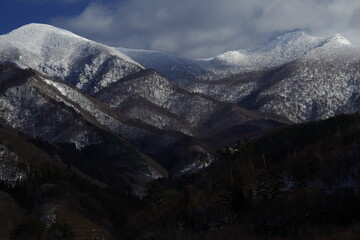 动物的有趣知识有哪些