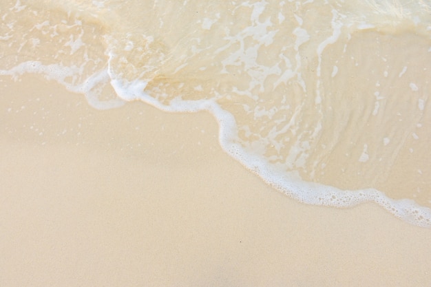 国武功夫会馆的馆长及教练介绍