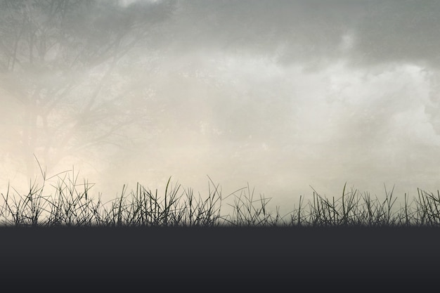 广西单招公办大专学校排名