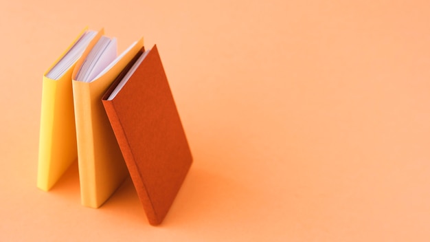 动物兄弟大猩猩超能力第几集