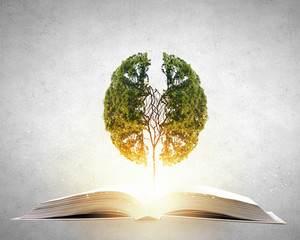 恐龙是怎样诞生的？