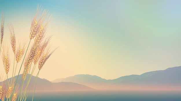 动物的有趣知识有哪些