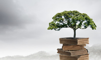 六年级英语复习单词