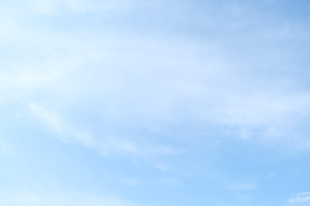 国武功夫会馆的馆长及教练介绍