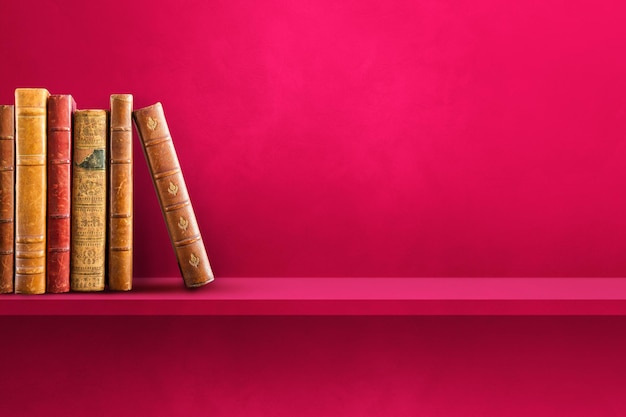 南极生活的动物有哪些