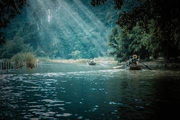 5种“大叶花”你知道吗