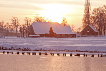 5种“大叶花”你知道吗